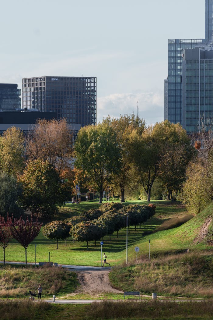 Vibrant cityscape with green park and skyscrapers in Poznań, Poland.
